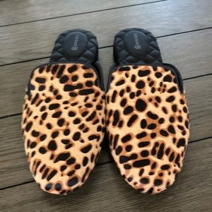 Birdies The Phoebe Slides